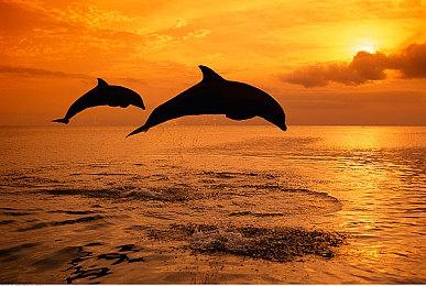 《上古卷轴5》MOD作者加入《上古卷轴6》开发团队